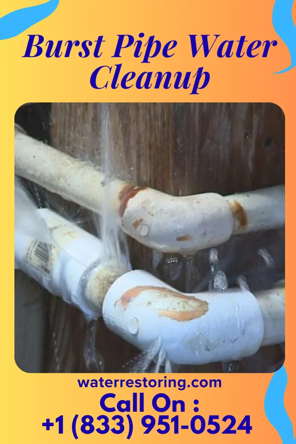 Burst Pipe Water Cleanup in New Berlin, IL