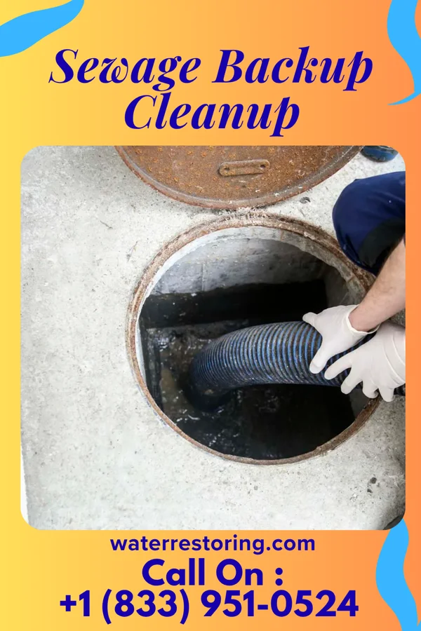 Sewage Backup Cleanup in New Berlin, IL