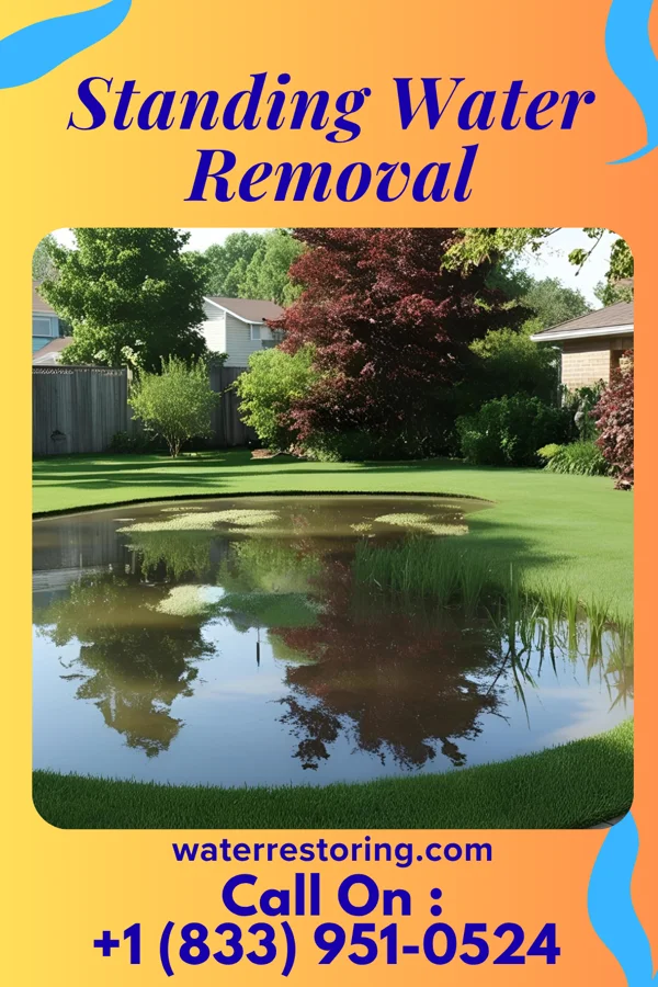 Standing Water Removal in New Berlin, IL